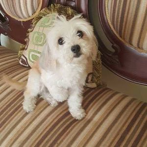 Meet your Posher, Rossi